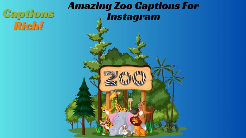 Amazing Zoo Captions For Instagram