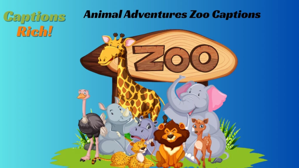 Animal Adventures Zoo Captions