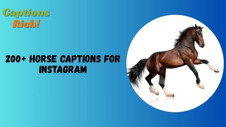 Horse Captions for Instagram
