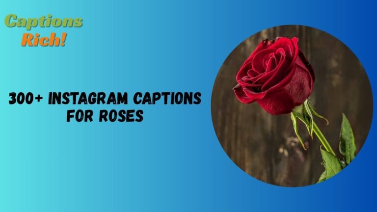 Instagram Captions for Roses