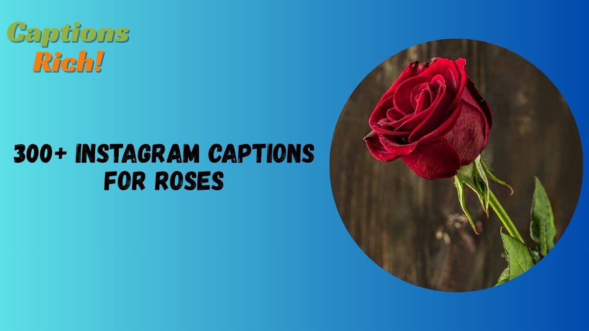Instagram Captions for Roses