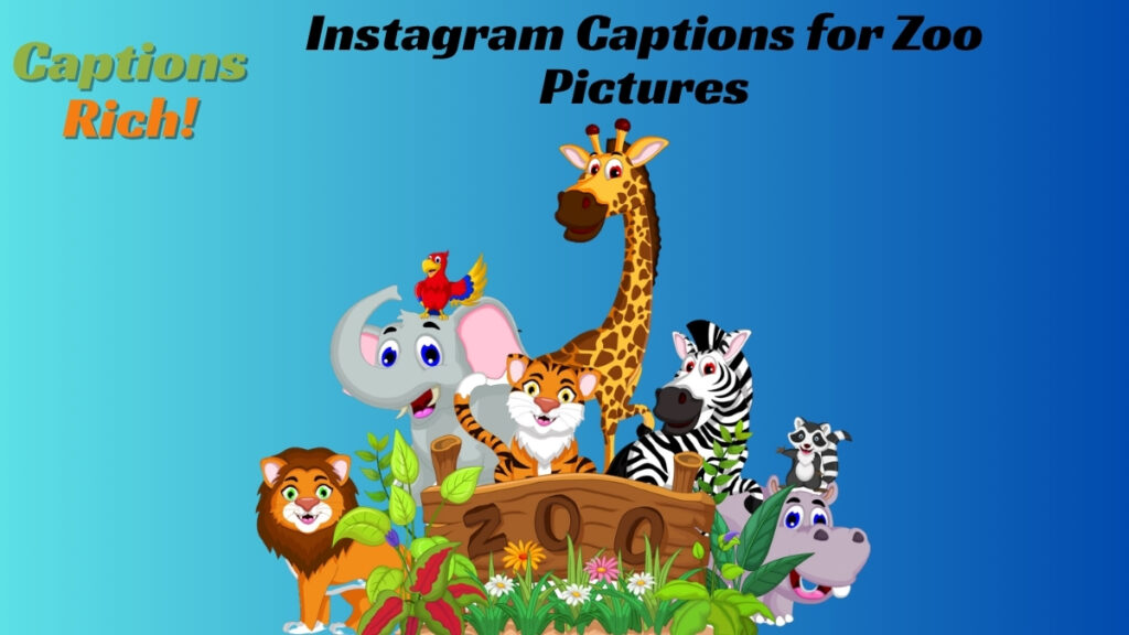 Instagram Captions for Zoo Pictures
