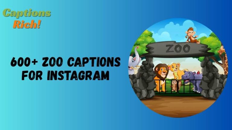 Zoo Captions for Instagram