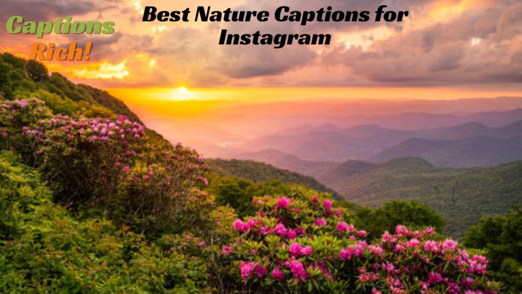 Best Nature Captions for Instagram