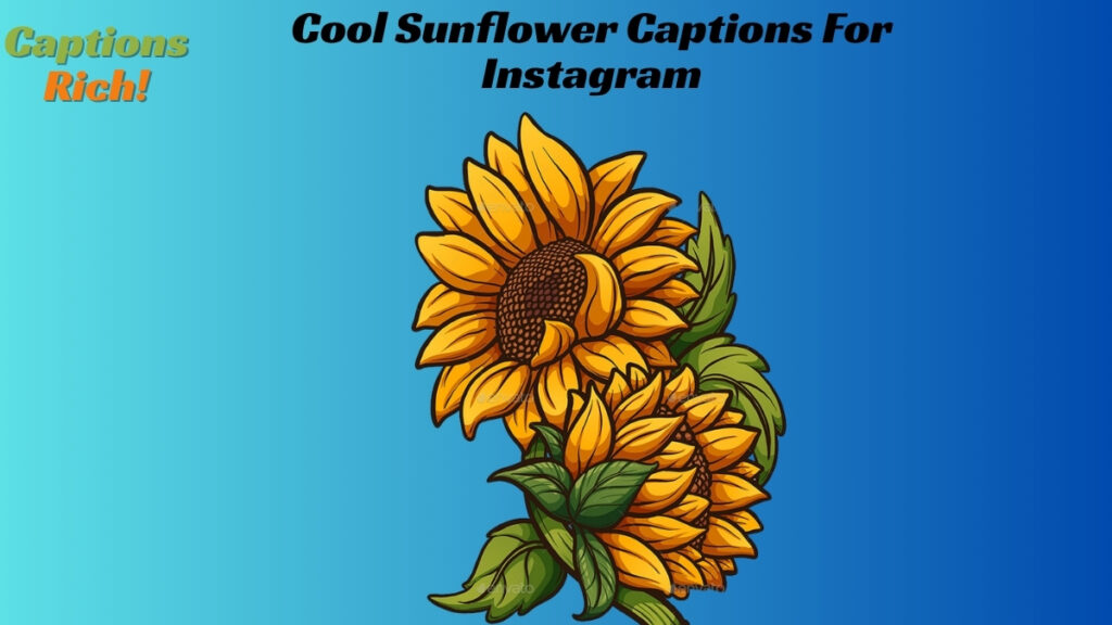Cool Sunflower Captions For Instagram