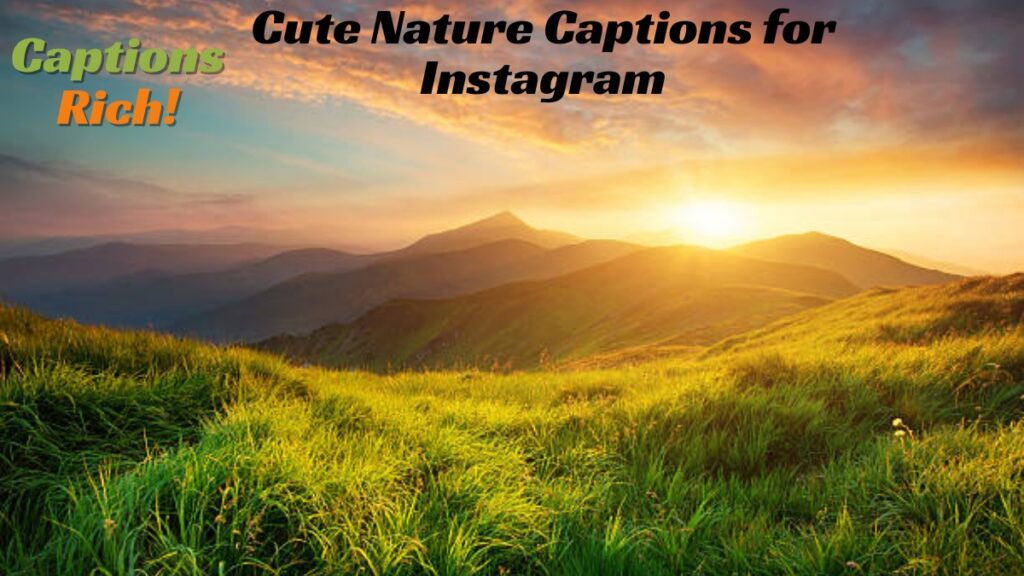 Cute Nature Captions for Instagram