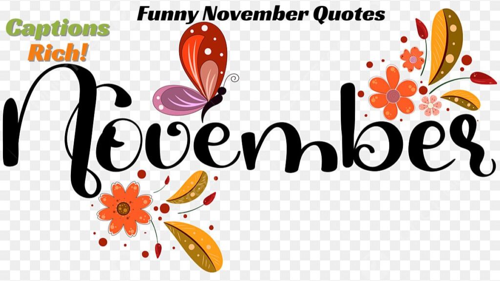 Funny November Quotes
