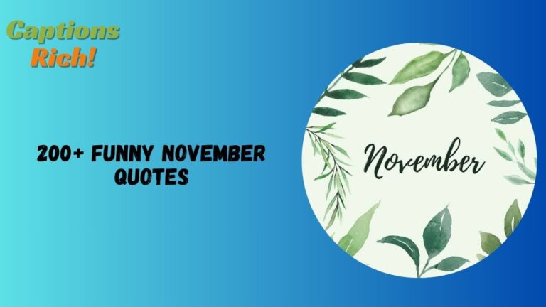 Funny November Quotes