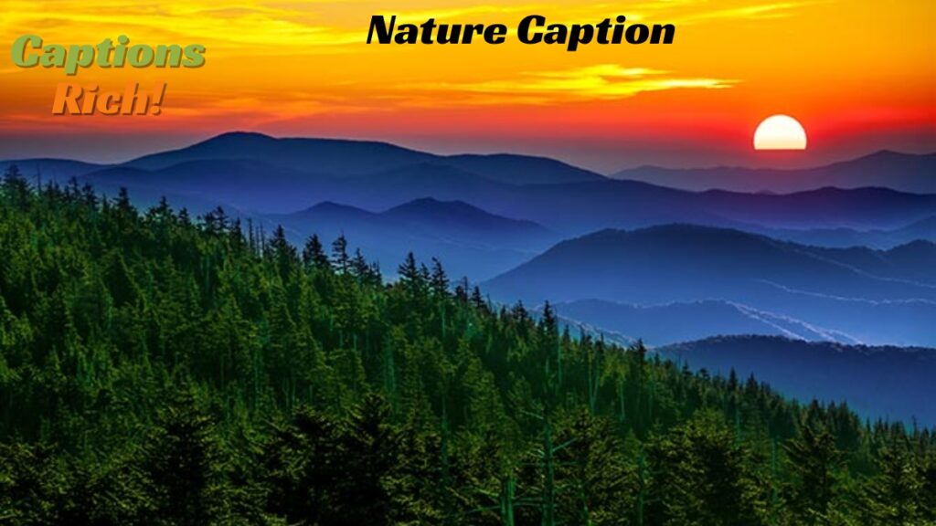 Nature Caption