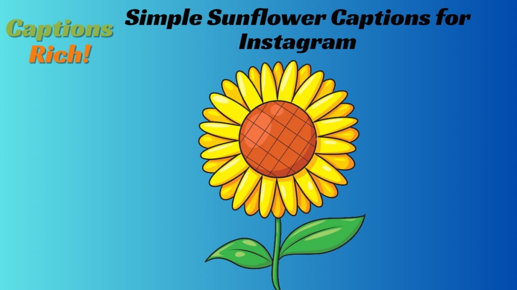 Simple Sunflower Captions for Instagram