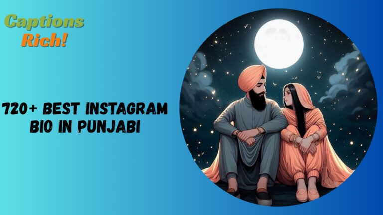 Instagram Bio in Punjabi