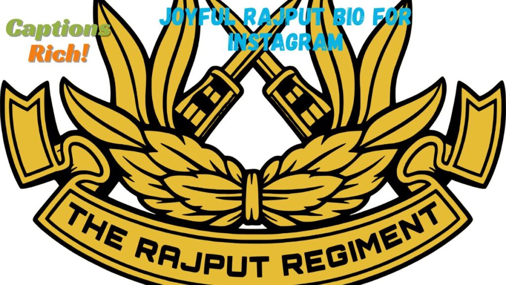 Joyful Rajput Bio for Instagram