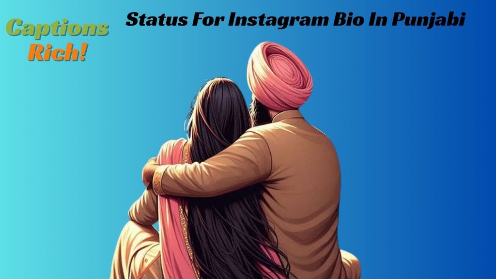 Status For Instagram Bio In Punjabi