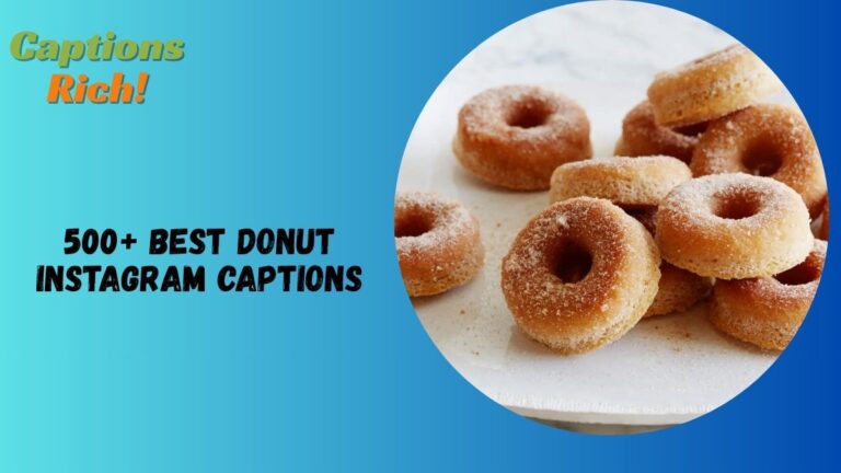 500+ Best Donut Instagram Captions: For Every Donut Lover